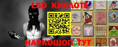 индика Аргун