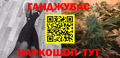 индика Аргун